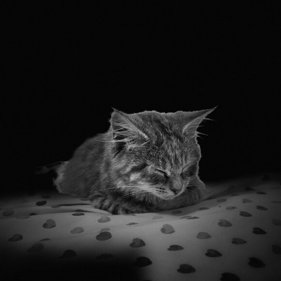 Meet the Posher Other - Meet your Posher, Clara